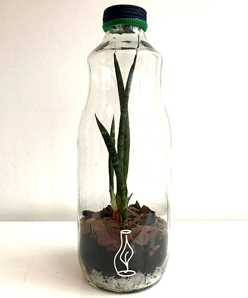 Hutan Pure IV