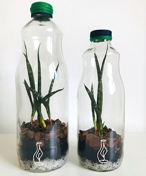 Conjunto Hutan Pure - Verde e Azul