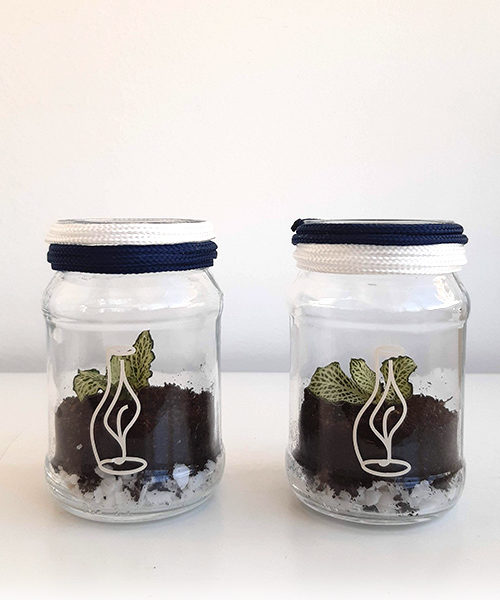 Conjunto Hutan Mini Pote